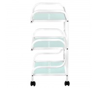 Cosmetology trolley 1014