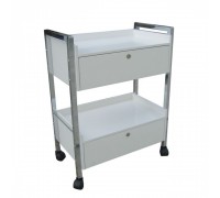 Cosmetology trolley 5013