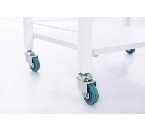 Cosmetology trolley STEP