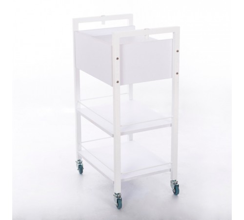 Cosmetology trolley STEP