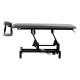 Electric Massage Table with Adjustable Face Cradle BALANCE LEPO 1, Grey