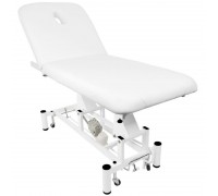 Electric 2-section therapy table