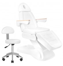 Hoitotuoli LUX 3 moottoria + työtuoli