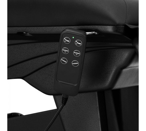 Electric Beauty Bed SILLON Black 3 motors.