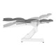 Electric Beauty Bed SILLON Grey 3 motors.