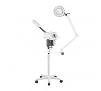 Facial Steamer CLEAR