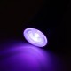 Rechargeable UV/LED Nail Lamp OCHO Mini 3 W, White