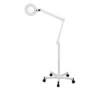 Magnifier lamp