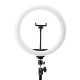Rengasvalo jalustalla GLOW 13" RGB bsc 10W