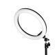 Rengasvalo jalustalla GLOW 13" RGB bsc 10W