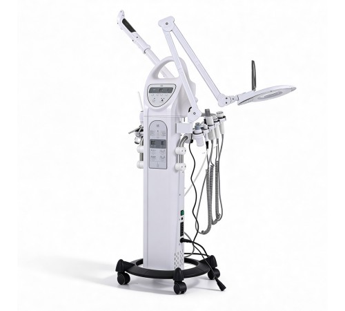 Multifunction Facial Treatment Machine – WEELKO Entir 9 in 1